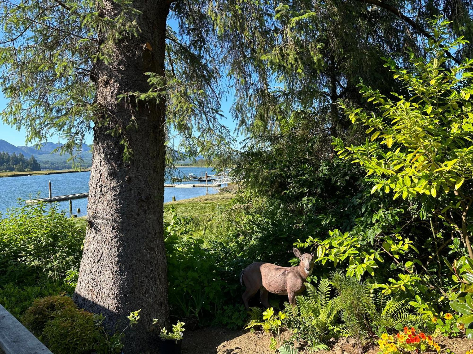 Wheeler On The Bay Lodge And Marina Kültér fotó